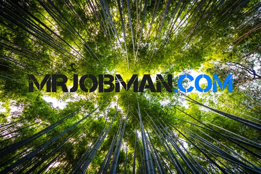 Renewable Energy and Environmental Sustainability Careers for Nigerians Renewable Energy and Environmental Sustainability Careers for Nigerians